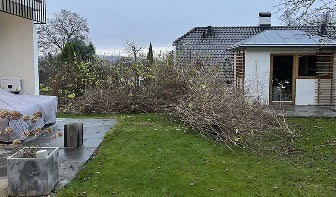 Innsamling av hageavfall